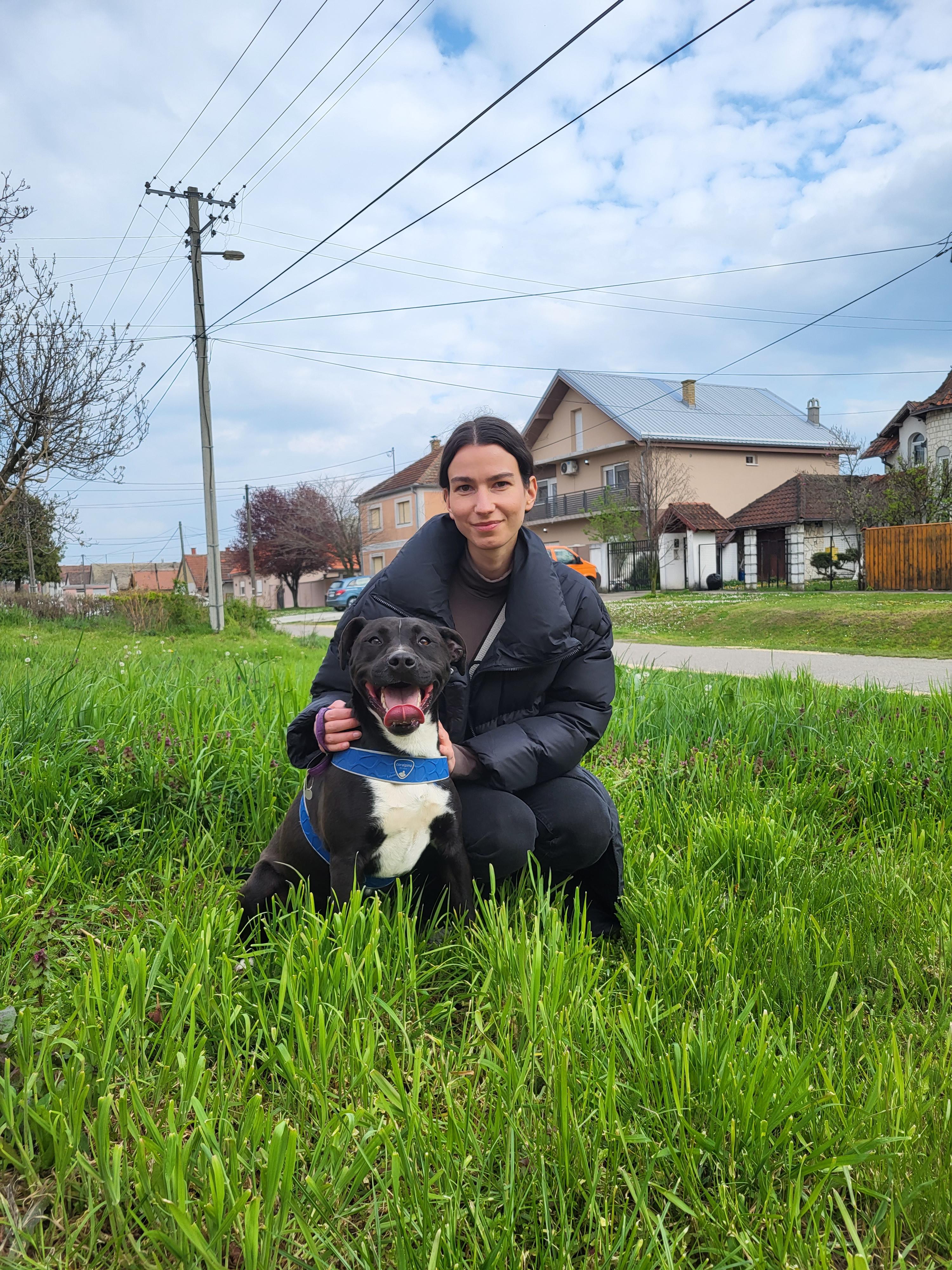 Strays in need Serbia Daniela