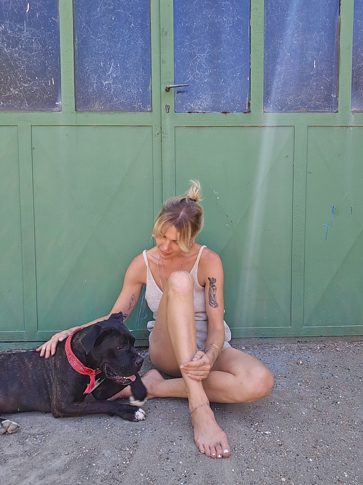 Strays in need Serbia Laura