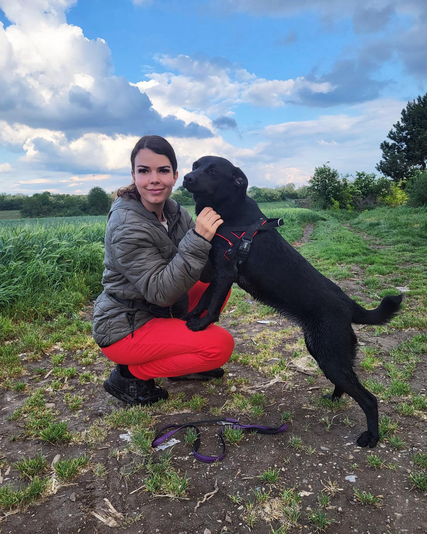 Strays in need Serbia Nicole